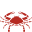 همراهان مناسب ماه تولد اردیبهشت